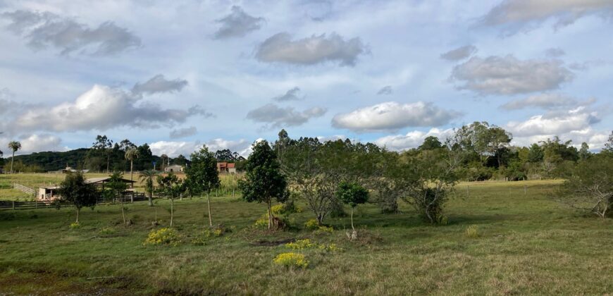 2 hectares , galpão, casa de alv, açude, galinheiro parada 91 aguas claras viamão