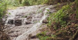 sitio em taquara