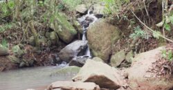 sitio em taquara
