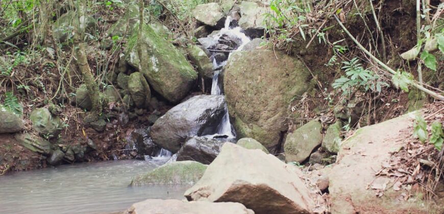sitio em taquara