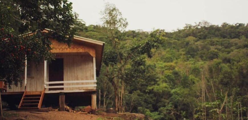 sitio em taquara