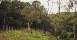 sitio em taquara