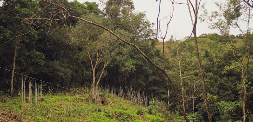 sitio em taquara