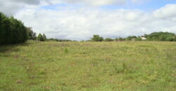 2 hectares à 500 metros  da RS 040 parada 89 aguas claras viamão