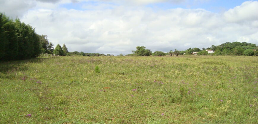 2 hectares à 500 metros  da RS 040 parada 89 aguas claras viamão