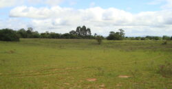 2 hectares à 500 metros  da RS 040 parada 89 aguas claras viamão