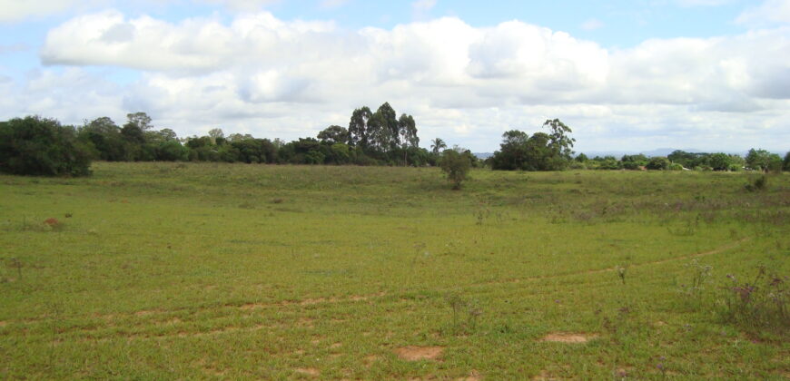 2 hectares à 500 metros  da RS 040 parada 89 aguas claras viamão
