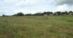 2 hectares à 500 metros  da RS 040 parada 89 aguas claras viamão