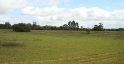 2 hectares à 500 metros  da RS 040 parada 89 aguas claras viamão