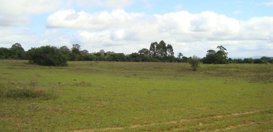 2 hectares à 500 metros  da RS 040 parada 89 aguas claras viamão