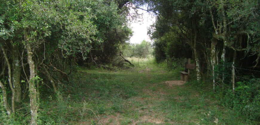 2 hectares à 500 metros  da RS 040 parada 89 aguas claras viamão