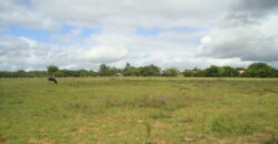 2 hectares à 500 metros  da RS 040 parada 89 aguas claras viamão