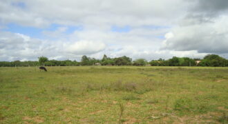 2 hectares à 500 metros  da RS 040 parada 89 aguas claras viamão