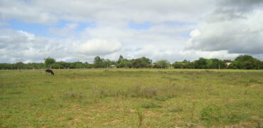 2 hectares à 500 metros  da RS 040 parada 89 aguas claras viamão