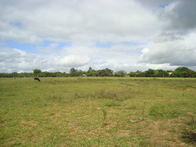 2 hectares à 500 metros  da RS 040 parada 89 aguas claras viamão