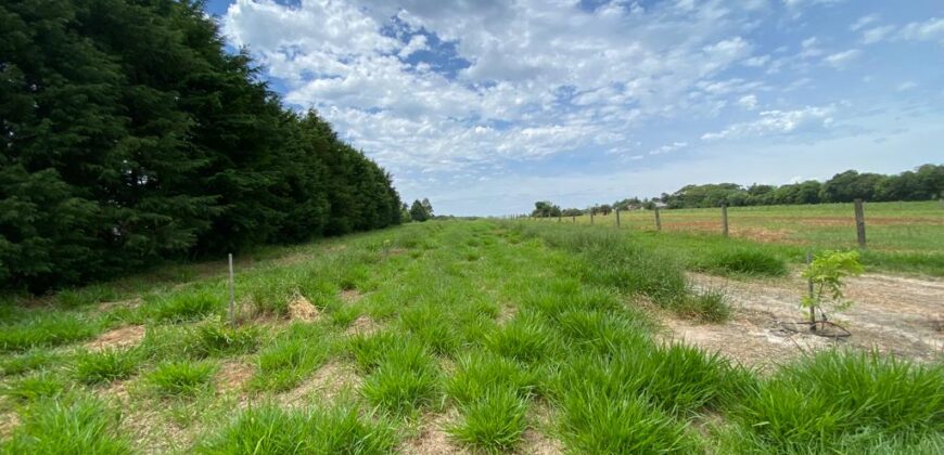 2 hectares à 500 metros  da RS 040 parada 89 aguas claras viamão