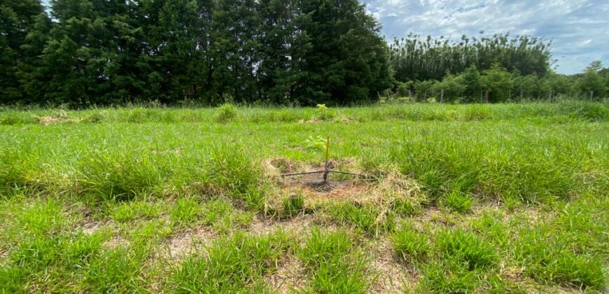 2 hectares à 500 metros  da RS 040 parada 89 aguas claras viamão