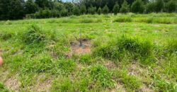 2 hectares à 500 metros  da RS 040 parada 89 aguas claras viamão