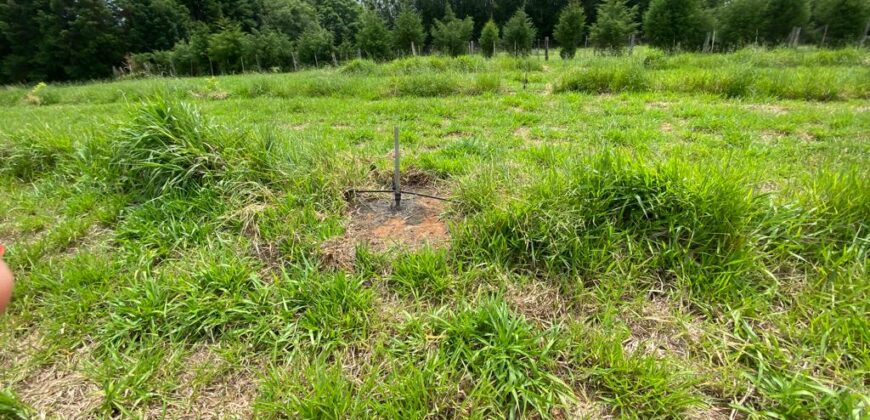 2 hectares à 500 metros  da RS 040 parada 89 aguas claras viamão