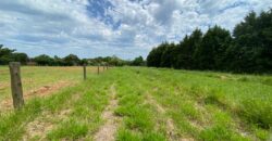 2 hectares à 500 metros  da RS 040 parada 89 aguas claras viamão