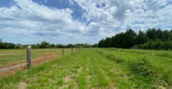 2 hectares à 500 metros  da RS 040 parada 89 aguas claras viamão