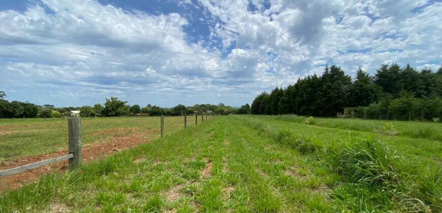 2 hectares à 500 metros  da RS 040 parada 89 aguas claras viamão