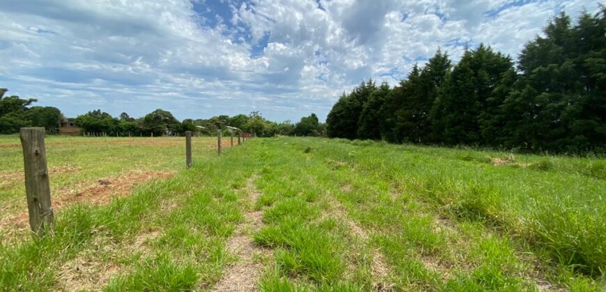 2 hectares à 500 metros  da RS 040 parada 89 aguas claras viamão