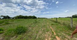 2 hectares à 500 metros  da RS 040 parada 89 aguas claras viamão