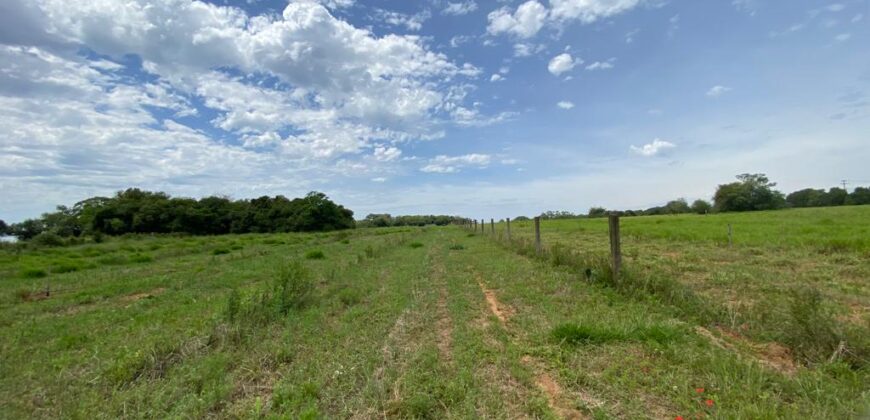 2 hectares à 500 metros  da RS 040 parada 89 aguas claras viamão