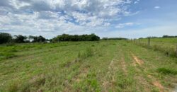 2 hectares à 500 metros  da RS 040 parada 89 aguas claras viamão