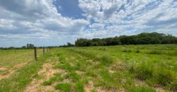 2 hectares à 500 metros  da RS 040 parada 89 aguas claras viamão