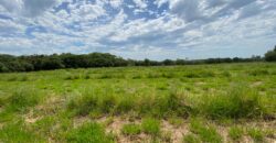 2 hectares à 500 metros  da RS 040 parada 89 aguas claras viamão