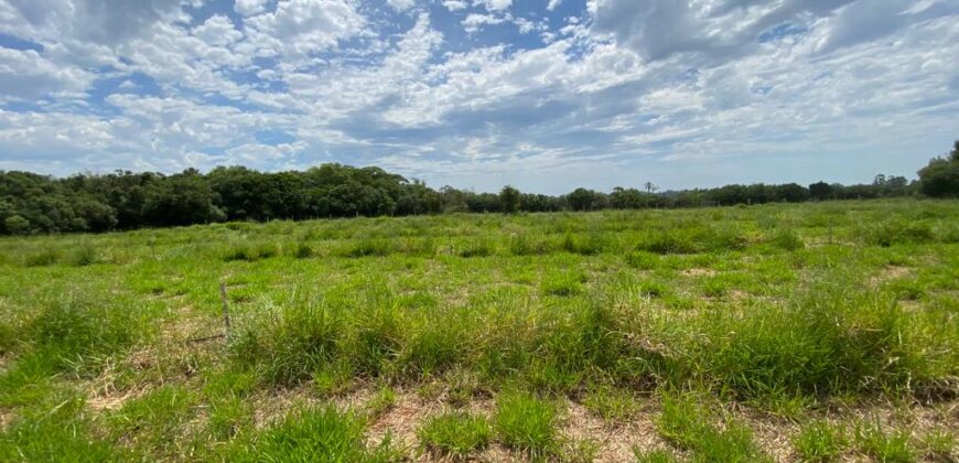 2 hectares à 500 metros  da RS 040 parada 89 aguas claras viamão