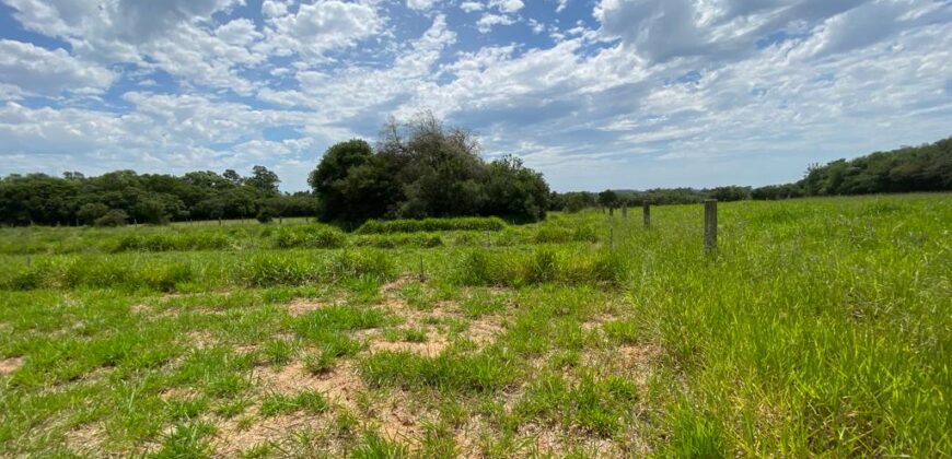 2 hectares à 500 metros  da RS 040 parada 89 aguas claras viamão