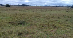 2 hectares , escriturado, de frente para a RS 040