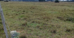 2 hectares , escriturado, de frente para a RS 040