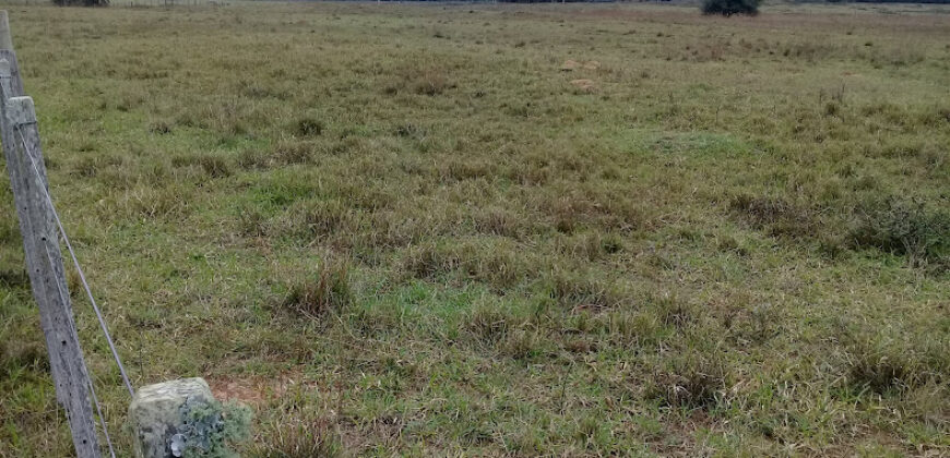 2 hectares , escriturado, de frente para a RS 040