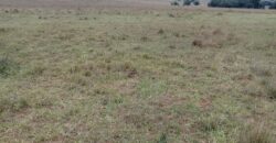 2 hectares , escriturado, de frente para a RS 040