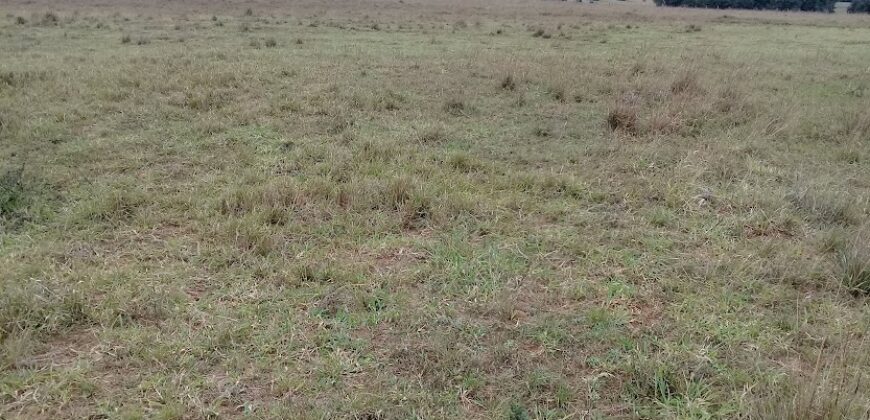 2 hectares , escriturado, de frente para a RS 040