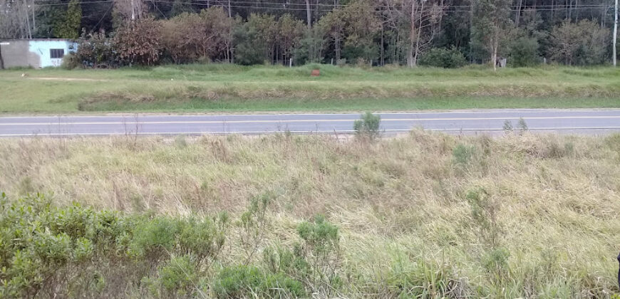 2 hectares , escriturado, de frente para a RS 040