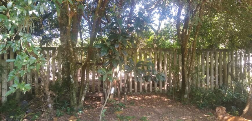 casa  de madeira  parada 93 aguas claras  viamão