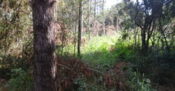 terreno condomínio querência