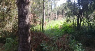 terreno condomínio querência