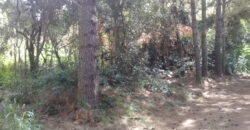 terreno condomínio querência