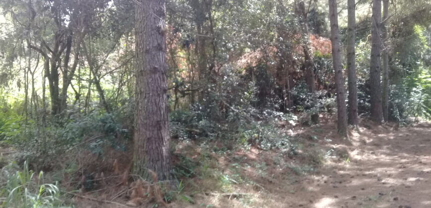 terreno condomínio querência
