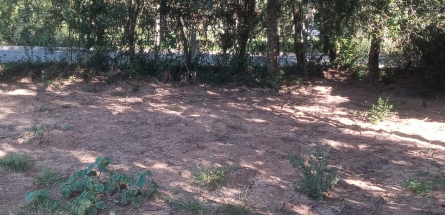 terreno estrada rancho alegre