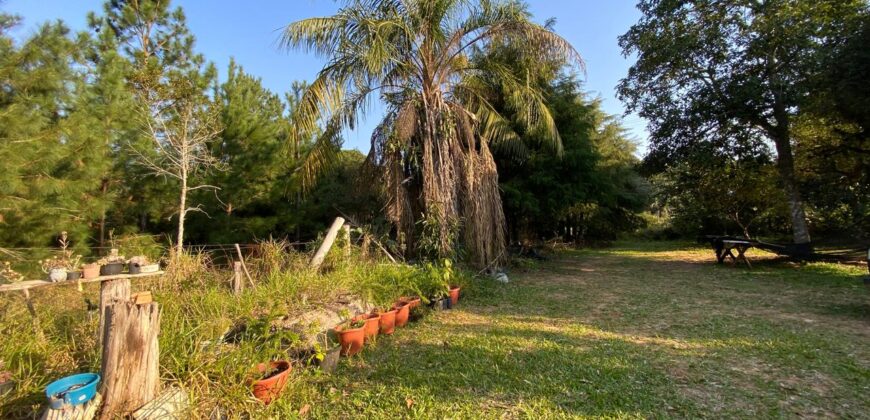 sitio  5000 metros  em aguas claras viamão