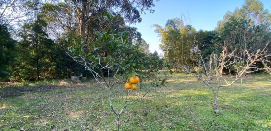 sitio  5000 metros  em aguas claras viamão