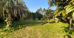 sitio  5000 metros  em aguas claras viamão