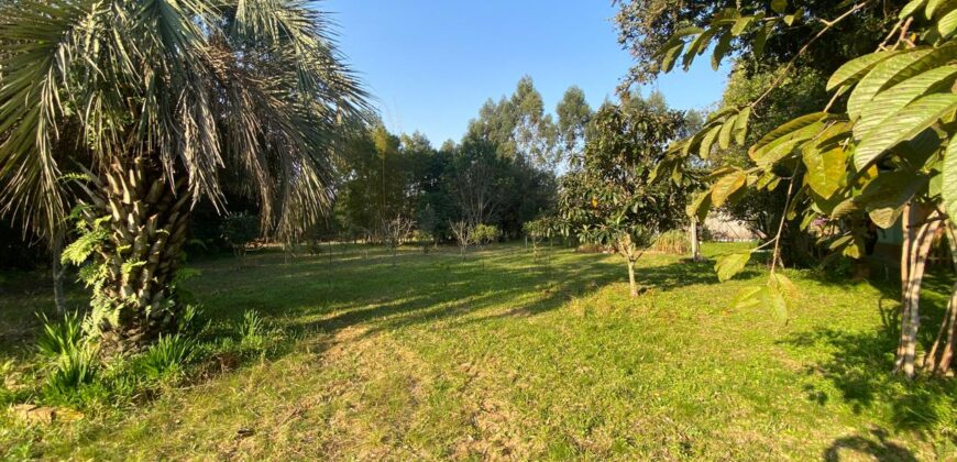 sitio  5000 metros  em aguas claras viamão